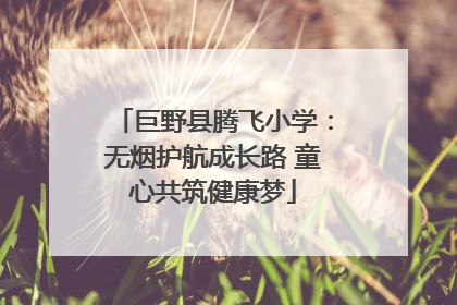 巨野县腾飞小学：无烟护航成长路 童心共筑健康梦