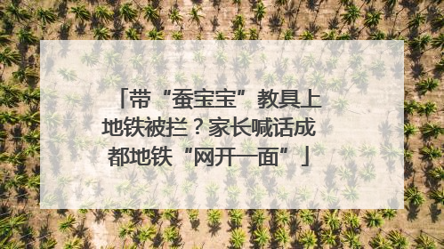 带“蚕宝宝”教具上地铁被拦？家长喊话成都地铁“网开一面”