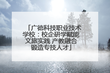 广德科技职业技术学校：校企研学赋能文旅实践 产教融合锻造专技人才