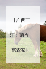 广西三江：菌香富农家