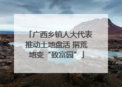 广西乡镇人大代表推动土地盘活 撂荒地变“致富园”