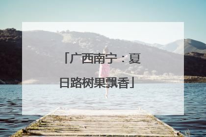 广西南宁：夏日路树果飘香