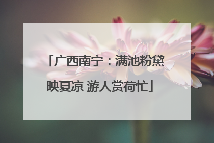 广西南宁：满池粉黛映夏凉 游人赏荷忙