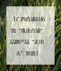 广西合浦县拓宽“珠还合浦”品牌产品“走出去”渠道