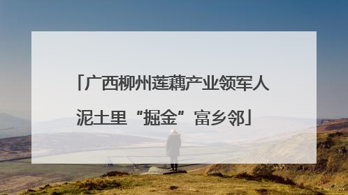 广西柳州莲藕产业领军人泥土里“掘金”富乡邻