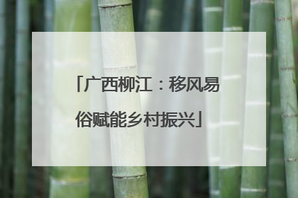 广西柳江：移风易俗赋能乡村振兴