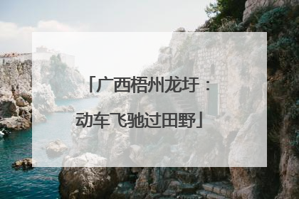 广西梧州龙圩：动车飞驰过田野