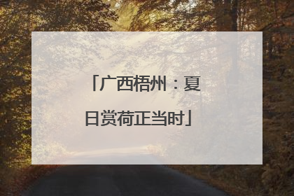 广西梧州：夏日赏荷正当时