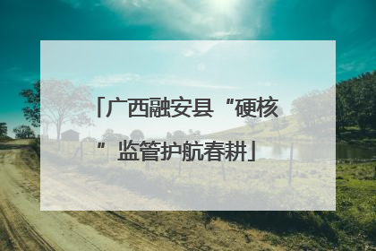 广西融安县“硬核”监管护航春耕