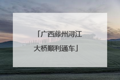 广西藤州浔江大桥顺利通车