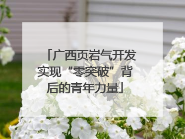 广西页岩气开发实现“零突破”背后的青年力量