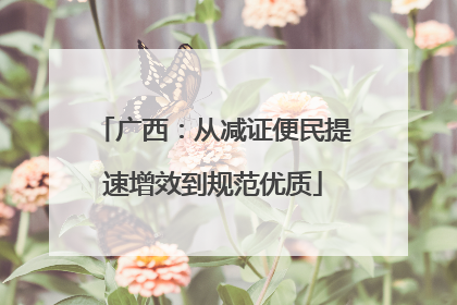 广西：从减证便民提速增效到规范优质