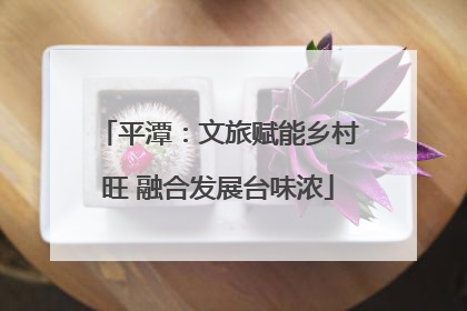 平潭：文旅赋能乡村旺 融合发展台味浓