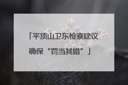 平顶山卫东检察建议确保“罚当其错”