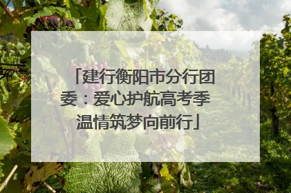 建行衡阳市分行团委：爱心护航高考季 温情筑梦向前行