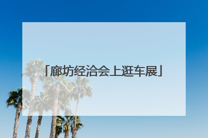 廊坊经洽会上逛车展