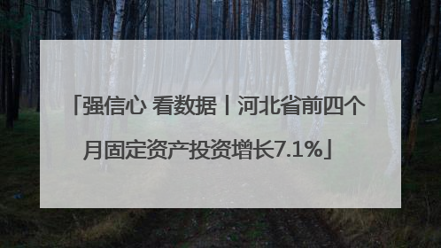 强信心 看数据丨河北省前四个月固定资产投资增长7.1%