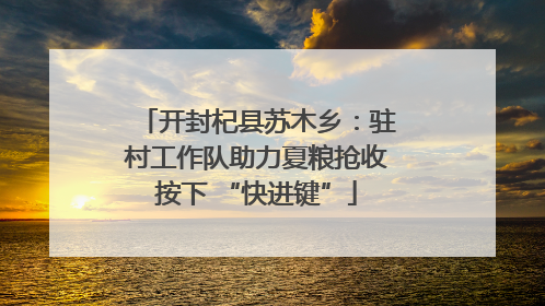 开封杞县苏木乡：驻村工作队助力夏粮抢收按下 “快进键”