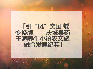 引“凤”突围 蝶变换颜——庆城县药王洞养生小镇农文旅融合发展纪实