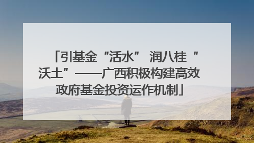 引基金“活水” 润八桂“沃土”——广西积极构建高效政府基金投资运作机制