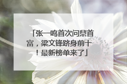 张一鸣首次问鼎首富，梁文锋跻身前十！最新榜单来了
