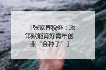 张家界税务：政策赋能育好青年创业“金种子”