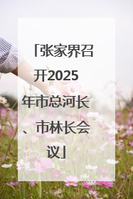 张家界召开2025年市总河长、市林长会议