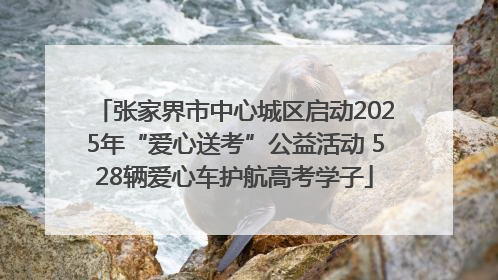 张家界市中心城区启动2025年“爱心送考”公益活动 528辆爱心车护航高考学子