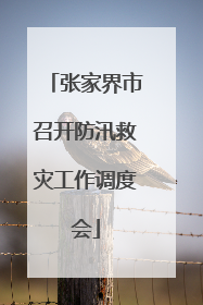 张家界市召开防汛救灾工作调度会