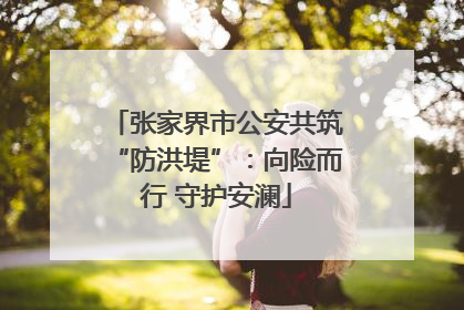 张家界市公安共筑“防洪堤”：向险而行 守护安澜