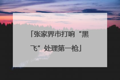 张家界市打响“黑飞”处理第一枪