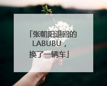 张朝阳退回的LABUBU，换了一辆车