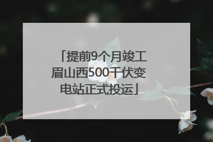 提前9个月竣工 眉山西500千伏变电站正式投运