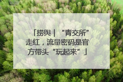 捞舆｜“青交所”走红，流量密码是官方带头“玩起来”