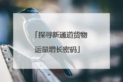 探寻新通道货物运量增长密码