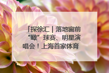 探徐汇｜落地窗前“瞰”球赛、明星演唱会！上海首家体育特色高端酒店亮相