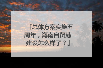 总体方案实施五周年，海南自贸港建设怎么样了？