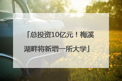 总投资10亿元！梅溪湖畔将新增一所大学