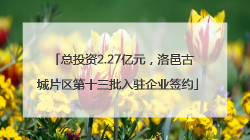 总投资2.27亿元，洛邑古城片区第十三批入驻企业签约