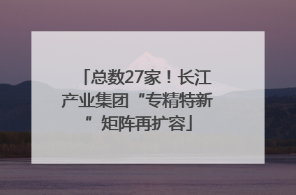 总数27家！长江产业集团“专精特新”矩阵再扩容