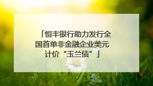 恒丰银行助力发行全国首单非金融企业美元计价“玉兰债”