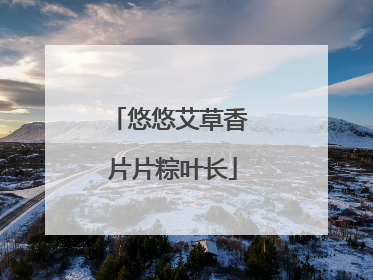 悠悠艾草香 片片粽叶长