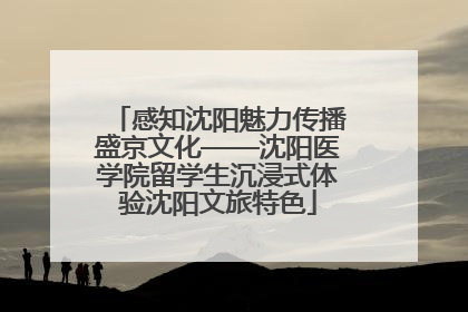 感知沈阳魅力传播盛京文化——沈阳医学院留学生沉浸式体验沈阳文旅特色