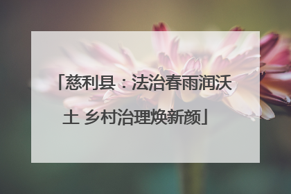 慈利县：法治春雨润沃土 乡村治理焕新颜