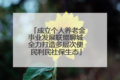 成立个人养老金事业发展联盟聊城全力打造多层次便民利民社保生态