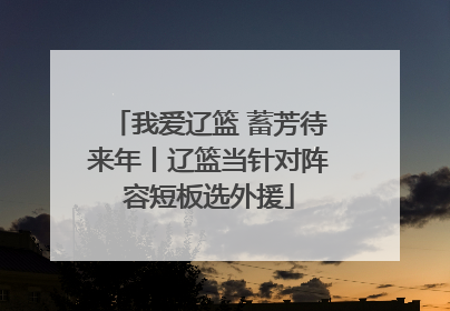 我爱辽篮 蓄芳待来年丨辽篮当针对阵容短板选外援