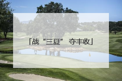 战“三夏” 夺丰收