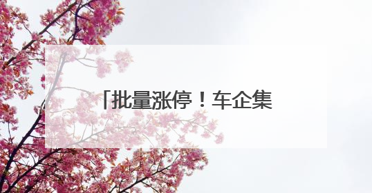 批量涨停！车企集中承诺60天支付