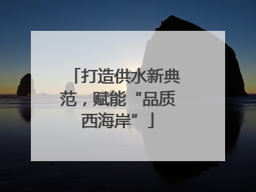 打造供水新典范，赋能“品质西海岸”