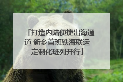 打造内陆便捷出海通道 新乡首班铁海联运定制化班列开行